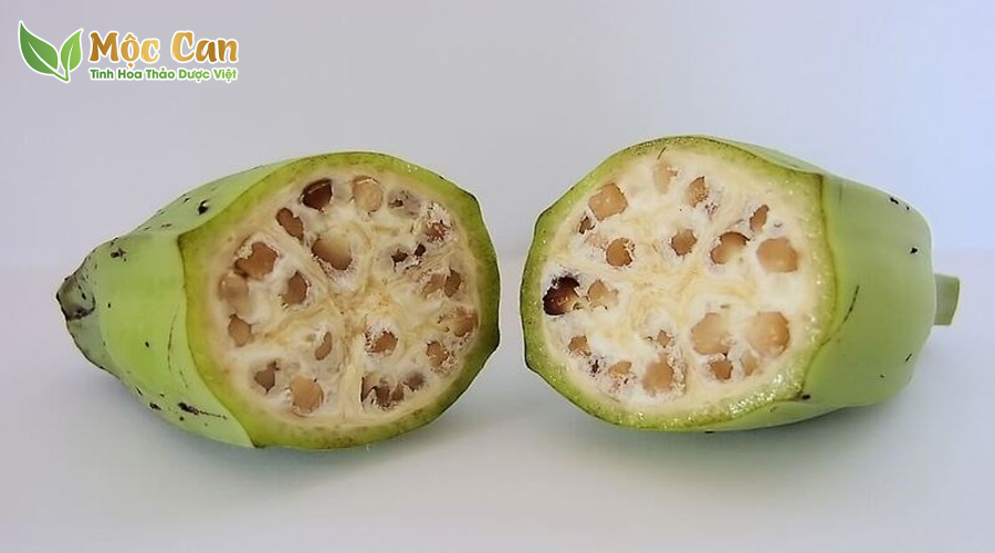 BẬT MÍ 10 LOẠI DƯỢC LIỆU TRỊ SỎI THẬN SIÊU TỐT 3